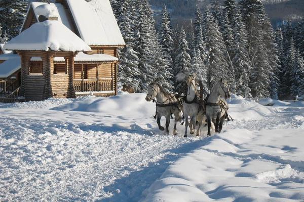 A troika by the cabins in winter