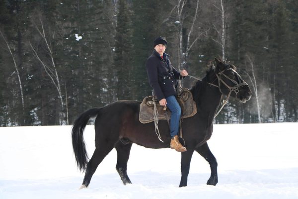 A rider in a snowy clearing