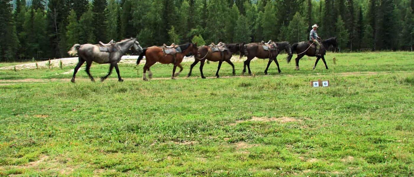 Horse riding at Klimovka