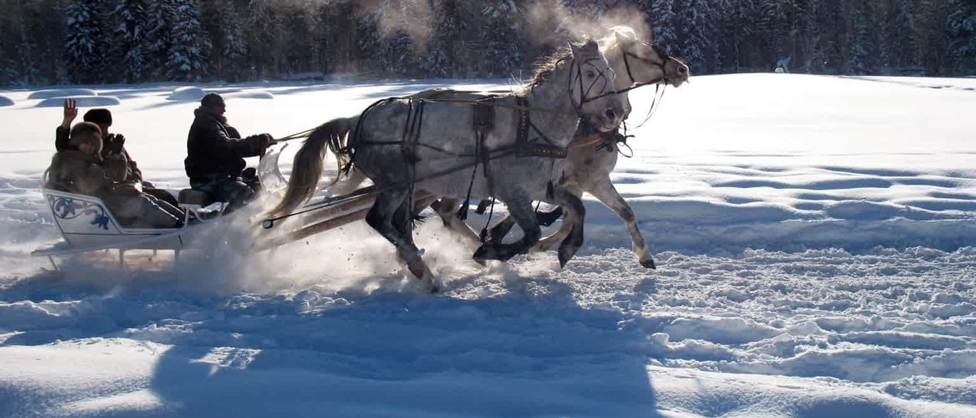 A troika sleigh in the snow