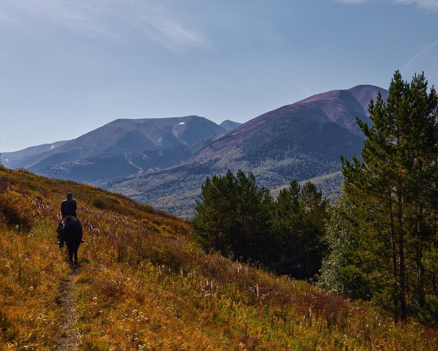 A rider on a mountain trail in autumn