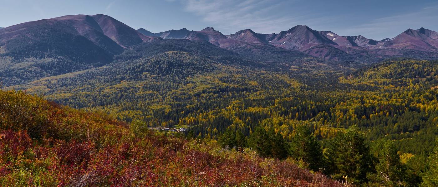 Autumn taiga and the mountains of Western Altai