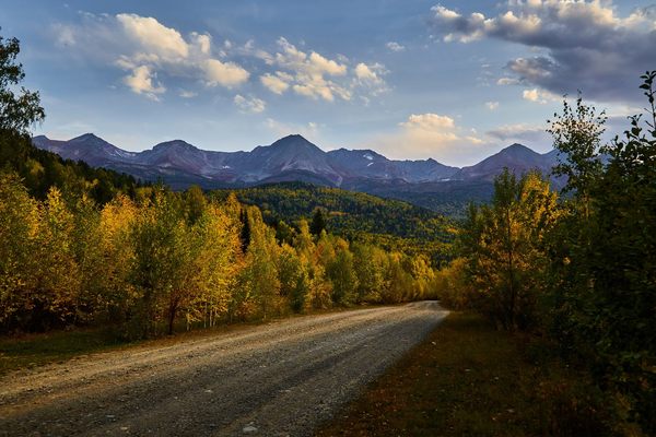 Road along the autumn taiga